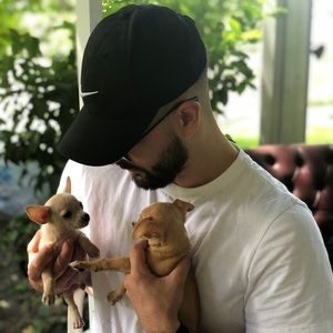 Meet your Posher, Carlos